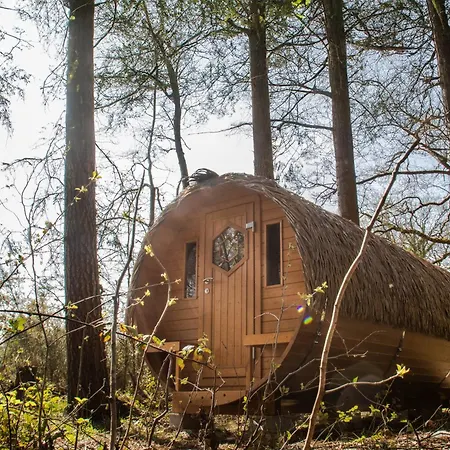 Bed & Breakfast Insolites, Les Ormes, Epiniac